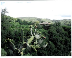 Villa Ceramida