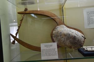 Musica Antica Greca Museo Archeologico